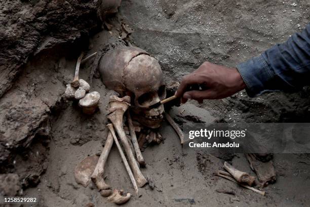 An archaeologist inspects the ancient bones found in the pre-Inca tomb on the Huaral Valley in Lima, Peru on May 31, 2023. During excavation led by...