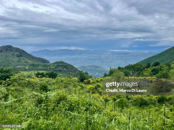 Sicignano Degli Alburni Photos and Premium High Res Pictures Getty Images