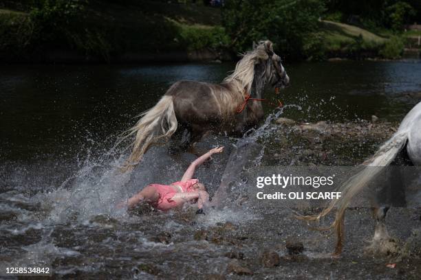 Girl is thrown from her horse which was startled as she washed it in the River Eden on the first day of the annual Appleby Horse Fair, in the town of...