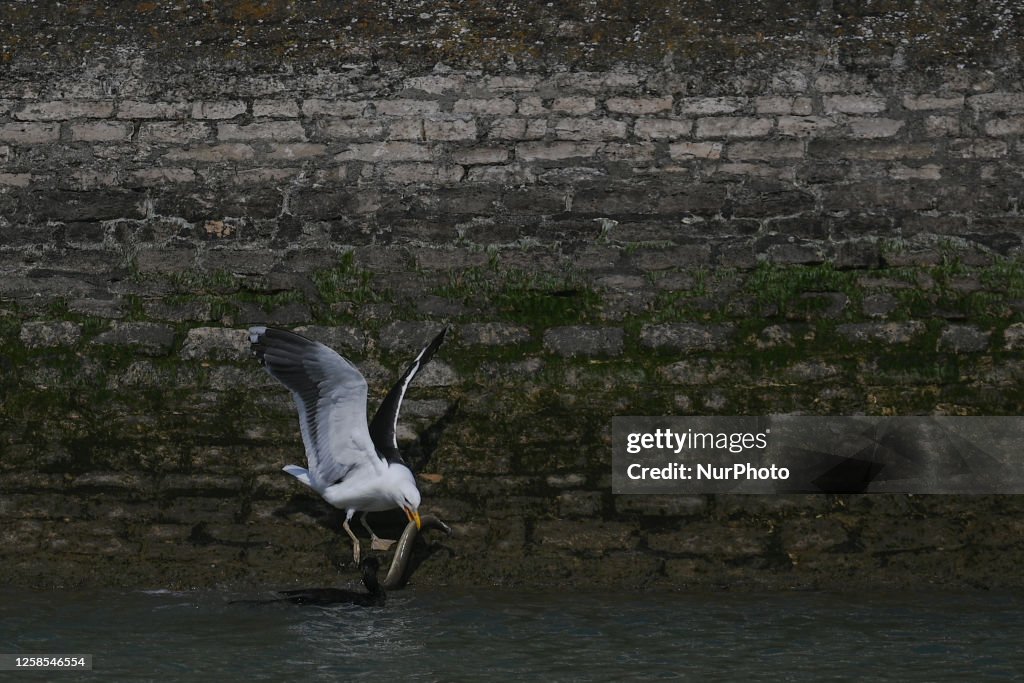 Daily Life In Port-En-Bessin
