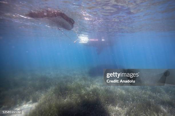 An undersea view as researchers are on their boat in Izmir, Turkiye on June 09, 2023. Academics from Manisa Celal Bayar and Dokuz Eylul universities...