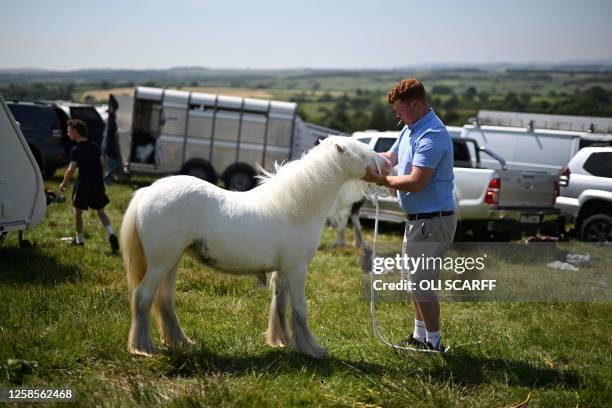 Man attaches a bridle to a horse on the second day of the annual Appleby Horse Fair, in the town of Appleby-in-Westmorland, northwest England, on...