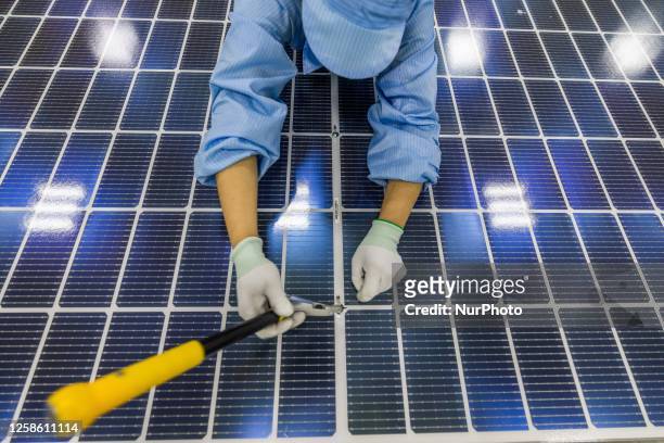 Workers work on a photovoltaic panel module production line at a new energy industrial park in Bijie, Southwest China's Guizhou province, June 11,...