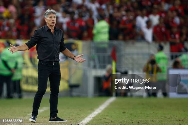 Renato Portaluppi coach of Gremio reacts during the match between Flamengo and Gremio as part of Brasileirao 2023 at Maracana Stadium on June 11,...