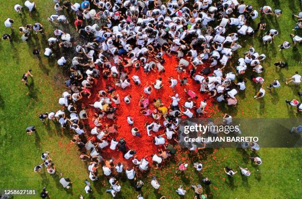 Aerial view of people participating in the tenth annual Tomato Fight Festival, known as "Tomatina", in Sutamarchan, Boyaca Department, Colombia, on...