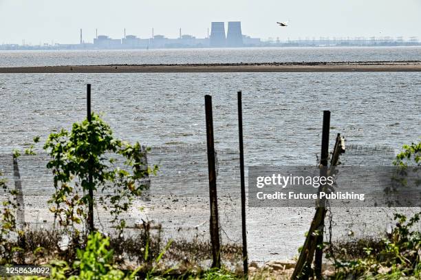 The Zaporizhzhia Nuclear Power Plant that is temporarily occupied by Russian invaders is seen on the opposite bank of the Dnipro River as the level...