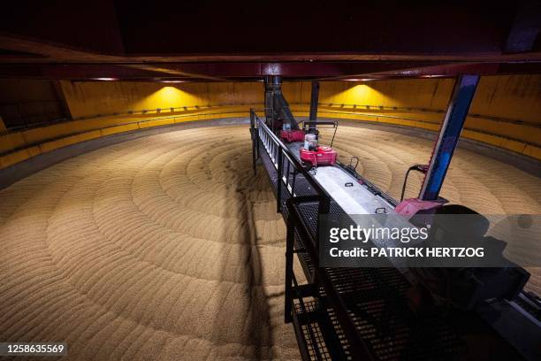 This photograph shows the inside of a silo of a malting plant during the transformation of barley into malt in Strasbourg, eastern France, on June 7,...