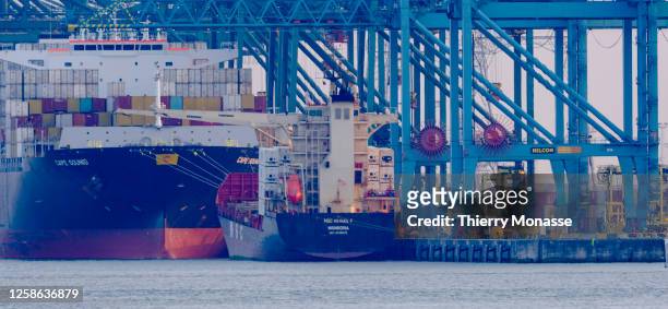 Container Ship MSC Soraya sailing under the flag of Panama, the Cape Sounio sailing under the flag of Malta and MSC Abigail sailing under the flag of...