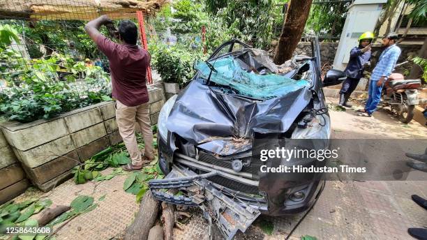 Civic and fire officials cut a huge tree after it collapsed on three cars and damaged them due to strong and gusty winds in wake of the Biporjoy...