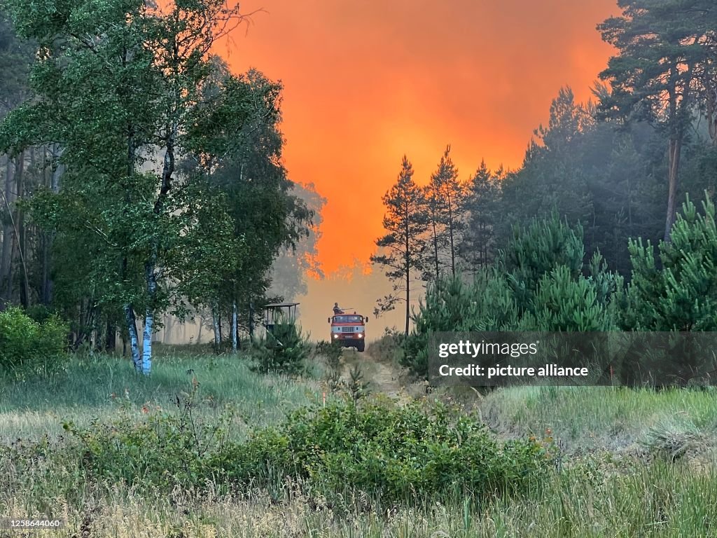 Forest fire near Lübtheen