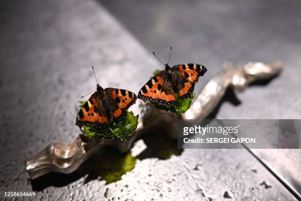Creation called "Butterfly" is pictured at the Alchemist restaurant in Copenhagen, Denmark, on May 25, 2023. With off-the-wall dishes like butterfly...