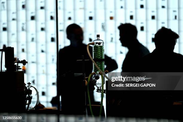 Chefs prepare food at the kitchen of the Alchemist restaurant in Copenhagen, Denmark, on May 25, 2023. With off-the-wall dishes like butterfly wings...