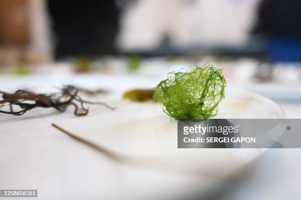 Seaweed from Odsherred fjord are pictured at Anneberg Cultural Park in the town of Nykøbing Sjælland, Denmark, on May 24, 2023. With off-the-wall...