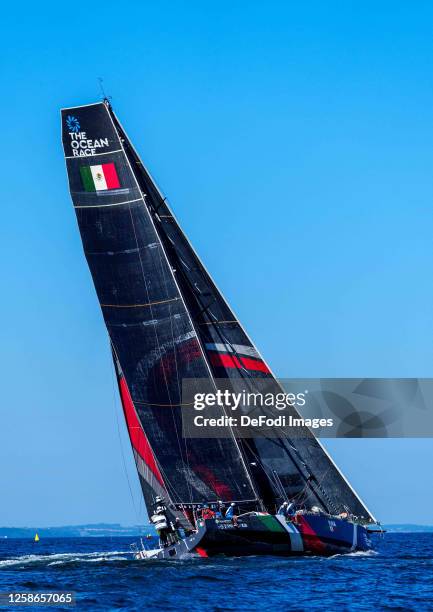 Viva México from Mexico, VO65 class during the start of the Ocean race Leg 6 From Aarhus to The Hague on June 8, 2023 in Aarhus, Denmark.