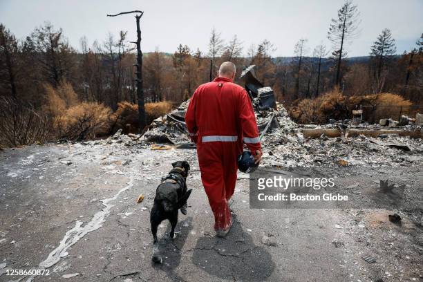 Hammonds Plain, Nova Scotia Ontario Provincial Police Const. Barry Kelly and his search and rescue dog Dance walk towards the site of a home...