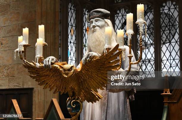 General view of Albus Dumbledore, as worn by Michael Gambon in "Harry Potter and the Goblet of Fire" display during a media preview of Warner Bros....