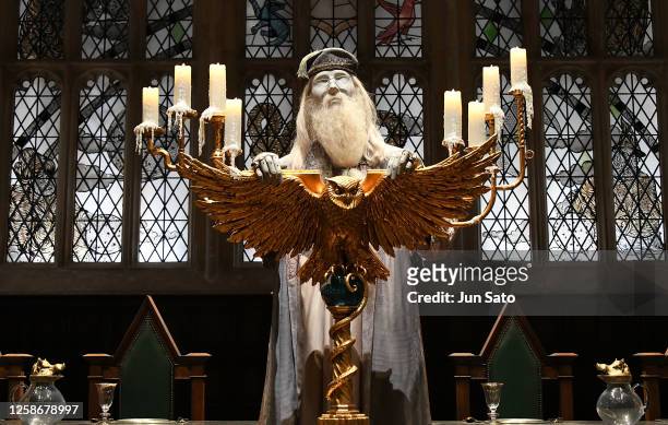 General view of Albus Dumbledore, as worn by Michael Gambon in "Harry Potter and the Goblet of Fire" display during a media preview of Warner Bros....