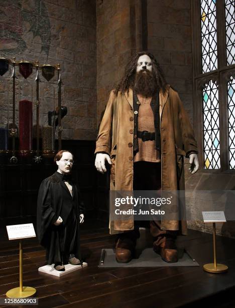 General view of Fillus Flitwick's costume as worn by Warwick Davis on "Harry Potter and the Goblet of Fire", and Rubeus Hagrid's costume as worn by...