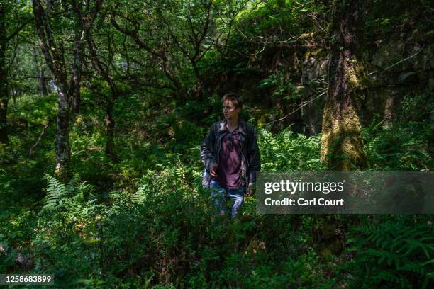 Guy Shrubsole, an environmental campaigner and author of The Lost Rainforests of Britain, walks through an area of temperate rainforest in Ausewell...