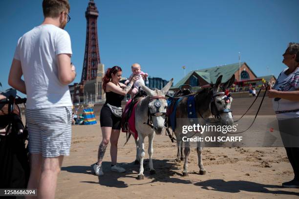 Seven-month-old Luna is placed on a donkey as people enjoy the sunshine on the beach in Blackpool, north west England on June 14, 2023