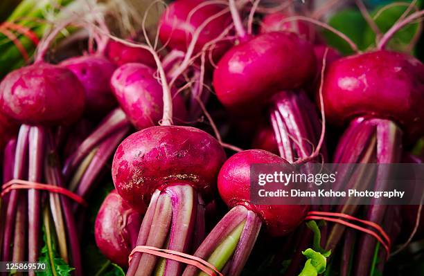 red beets root crop vegetable - beet stock pictures, royalty-free photos & images