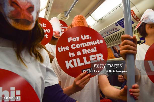 Activists wearing sheep and cow masks and holding anti-live export placards staged a protest on a London Underground train demanding that the UK...