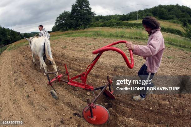 Des stagiaires de l'association Prommata se forment à la conduite d'un âne de trait le 27 juin 2007 à Artigat. Cette petite révolution pour ces...