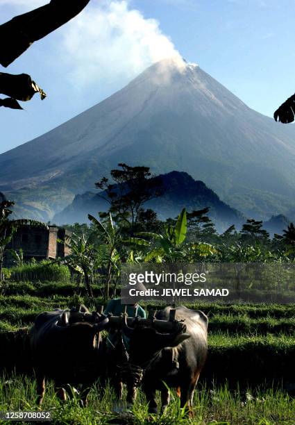 Farmer cultivates his field as Mount Merapi churns smokes in Pakam, Yogyakarta of central Java, 17 May 2006. More than 22,000 people have been...