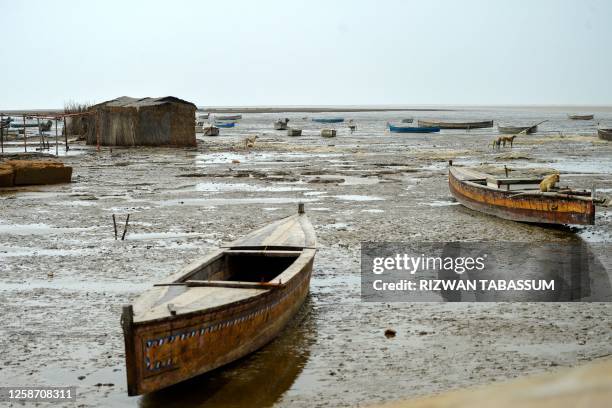 Stray dogs roam along the Arabian Sea's coast, at the Zero Point in Badin district, Sindh province on June 15, 2023. Howling gales and crashing waves...