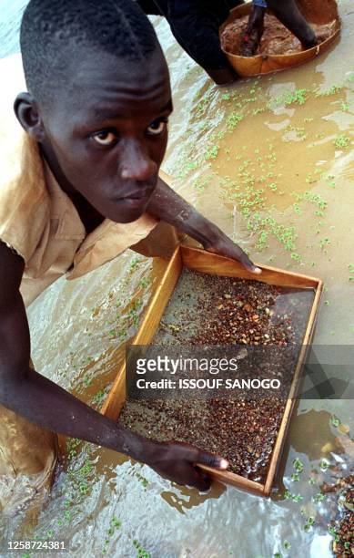 Man looks into his sifter to find a diamond stone, 12 June 2001 in Tortya, about 500 kilometres north of Ivory Coast's main city Abidjan. The one-way...