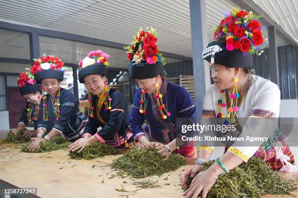 Menghai 27 Menghai County Stock Photos, High-Res Pictures, and Images - Getty ...