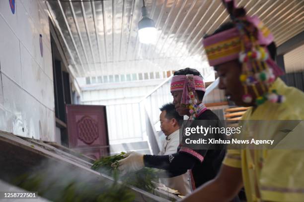 Menghai 27 Menghai County Stock Photos, High-Res Pictures, and Images - Getty ...