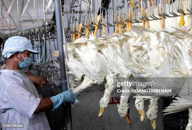 Duck Processing 613 Duck Factory Stock Photos, High-Res Pictures, and Images - Getty Images