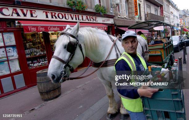 Photo prise le 11 octobre 2004 de "Festival de Mai", un percheron gris âgé de 11 ans, employé par la ville de Trouville pour collecter des verres...