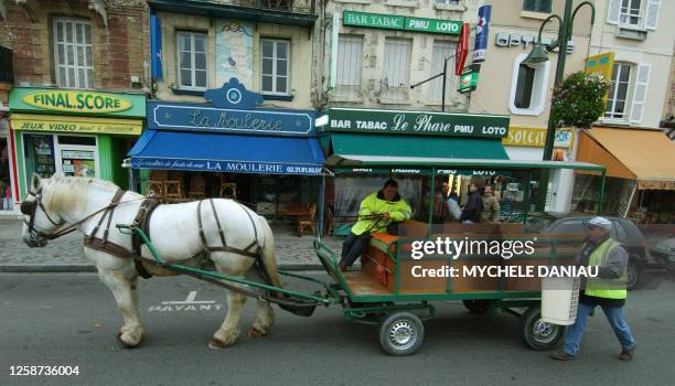 Photo prise le 11 octobre 2004 de "Festival de Mai", un percheron gris âgé de 11 ans, employé par la ville de Trouville pour collecter des verres...