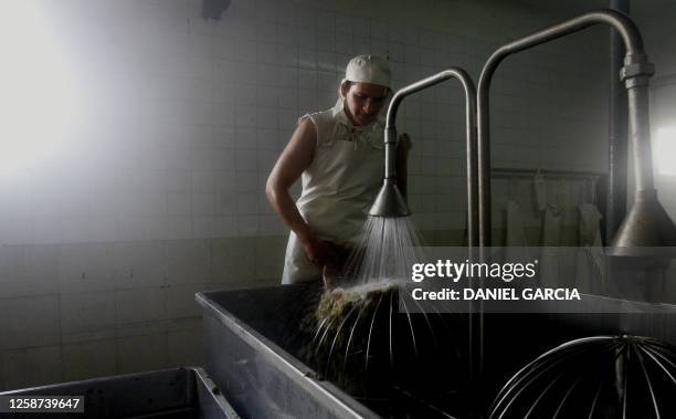 Worker washes tripes at the Yaguane Meat Processing Plant Cooperative 29 July, 2005 in the province of Buenos Aires, Argentina. AFP PHOTO DANIEL...