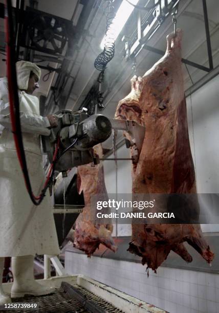 Worker splits beef in halves at the Yaguane Meat Processing Plant Cooperative 29 July, 2005 in the province of Buenos Aires, Argentina. AFP PHOTO...