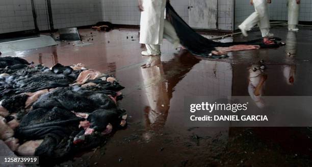 Workers weigh hides at the Yaguane Meat Processing Plant Cooperative 29 July, 2005 in the province of Buenos Aires, Argentina. AFP PHOTO DANIEL...