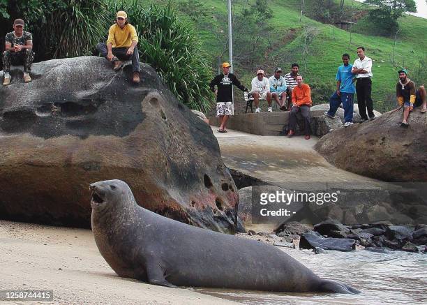 Residents of Isla Bella watch an elephant seal on the Portinho beach, 250 km north east of Sao Paulo, 27 June 2002. AFP PHOTO/Marco YAMIN-AESTADO...