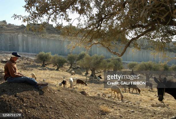 Palestinian shepherd sits next to the Israeli separation barrier that divides the West Bank village of Abu Dis on the edge of Jerusalem 06 July 2004....