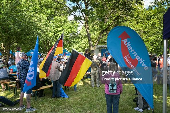 Participants of an AfD rally on the 70th anniversary of the popular ...