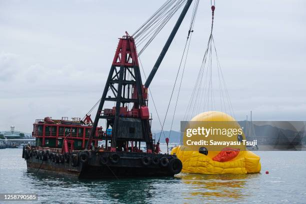 One of the two giant inflatable rubber ducks is deflated on June 18 in Hong Kong, China. The "Double Ducks" were created by Dutch artist Florentijn...