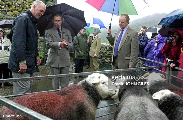 Britain's Prince Charles of Wales speaks with farmer Joseph Relph whilst they view a pen of Herdwick sheep, during a visit to the Flock Tearoom at...