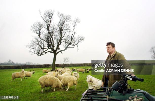 Tom Griffith brings feed to his sheep and their lambs on his farm at Great Doddington, in Northamptonshire, 60 miles north of London Friday 23 March...