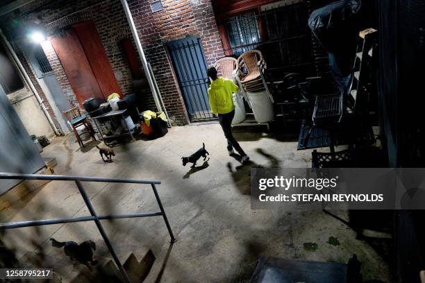 Dc Street Rats List Of Cities In The United States By Population Photos and Premium ...