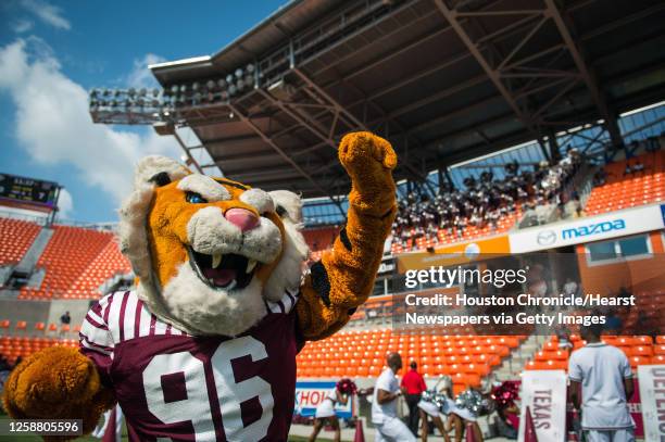 The TSU Tiger mascot dances as the Ocean of Soul band plays during the first quarter of a college football game against Alabama A&M at BBVA Compass...