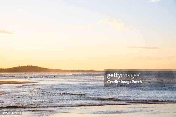 evening light on the noosa foreshore - noosa beach stock pictures, royalty-free photos & images