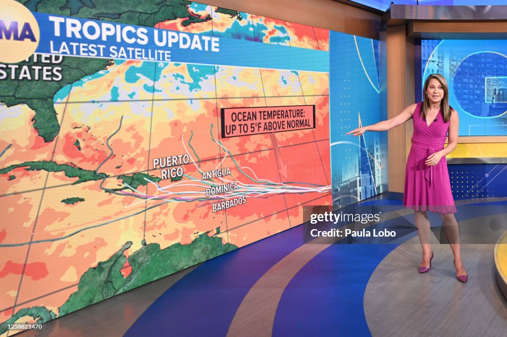 GINGER ZEE