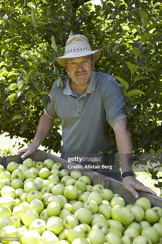 Farmer with green apples
