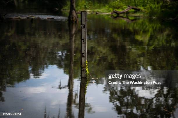 Pond near Oak Crest Mobile Park on Thursday, June 8, 2023 in Orlando, Fla. Waters from this and surrounding bodies of water rose several feet during...